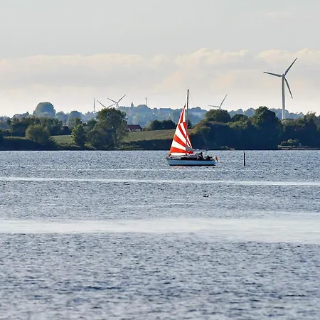 4 Star In
